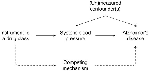 Mendelian randomization model in the presence of a competing mechanism.