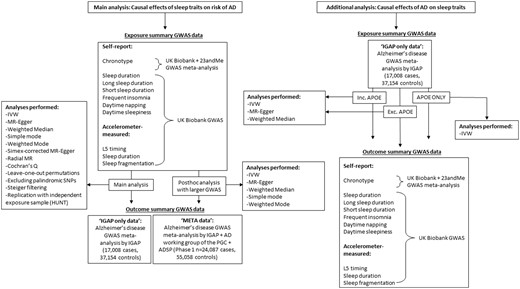 Flow chart detailing data sources for each analysis performed. AD, Alzheimer’s disease; GWAS, genome-wide association study; MR, Mendelian randomization; IGAP, International Genomics of Alzheimer’s Project; IVW, Inverse Variance Weighted; PGC, Psychiatric Genomics Consortium; ADSP, Alzheimer’s Disease Sequencing Project