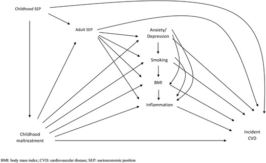 Assumed causal diagram of the association between childhood maltreatment and cardiovascular disease (CVD)