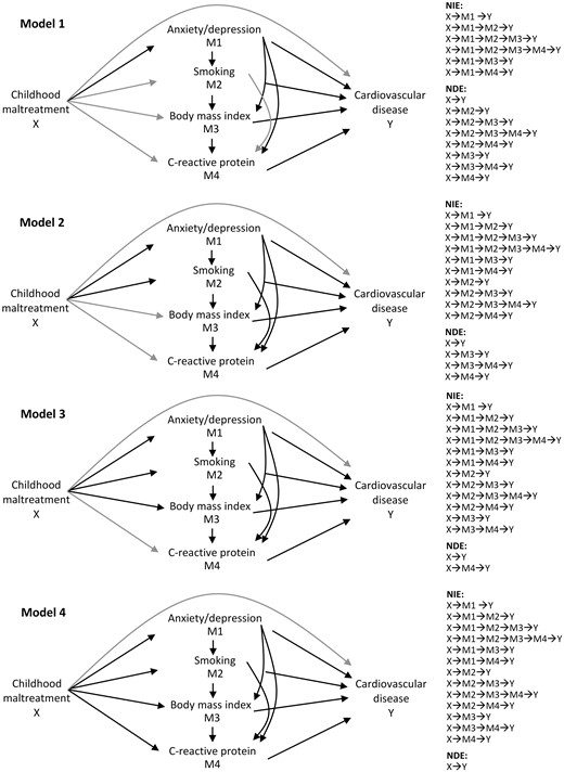 Simplified causal diagrams illustrating estimated paths in Models 1–4