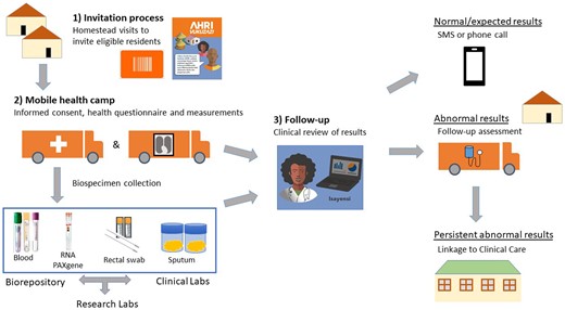 Components of the Vukuzazi programme