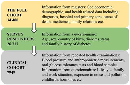 Overview of the number of participants and information in the Stockholm Diabetes Prevention Programme (SDPP) cohorts