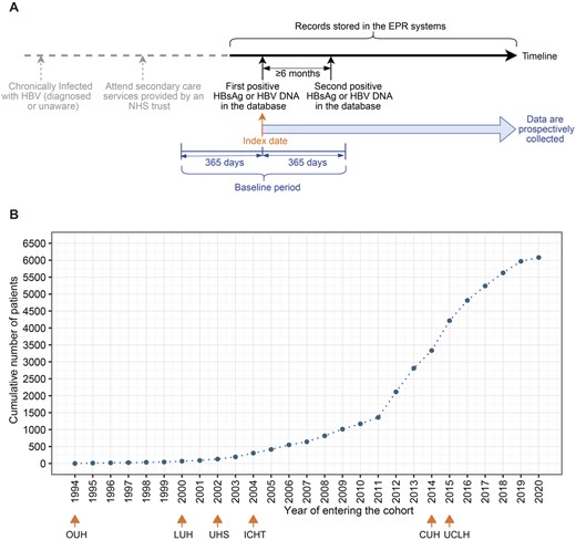 Index date and number of patients in the National Institute for Health Research (NIHR) Health Informatics Collaborative (HIC) hepatitis B virus dataset. (A) The time line and index date definition for an exemplar patient. (B) Cumulative numbers of chronic hepatitis B virus patients entering the cohort over time. In panel A, all data collected after the index date are added into the dataset, and those data before index date are also included if they are available in EPR systems. The second positive test could be within 365 days after the index date (within baseline period) or could be >365 days after the index date (outside of the baseline period). Note that the second positive test is not required for a contributing site to include patients for data submission after June 2021. In panel B, for the six sites which had submitted data, the earliest year of the included data at each site is marked. CUH, Cambridge University Hospitals NHS Foundation Trust; ICHT, Imperial College Healthcare NHS Trust; LUH, Liverpool University Hospitals NHS Foundation Trust; OUH, Oxford University Hospitals NHS Foundation Trust; UCLH, University College London Hospitals NHS Foundation Trust; UHS, University Hospital Southampton NHS Foundation Trust; EPR, electronic patient record; HBsAg, hepatitis B surface antigen; HBV, hepatitis B virus; DNA, deoxyribonucleic acid; NHS, National Health Service