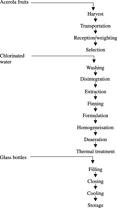 Processing of the non-sweetened acerola tropical fruit juice by hot fill method.