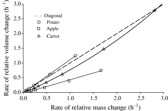 Relationship between rate of relative mass increase and rate of relative volume increase during rehydration.