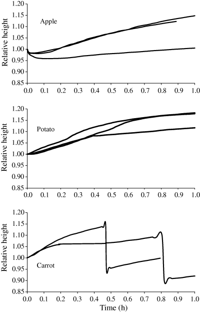 Relationship between relative cube height and time of rehydration.