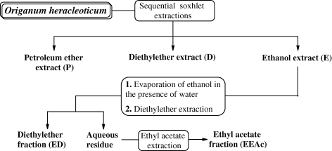 Extraction and fractionation process of oregano.