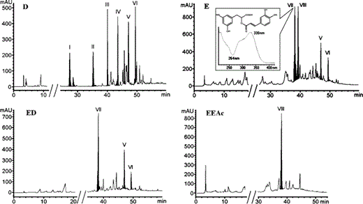 HPLC–DAD chromatograms of diethyl ether (D) and ethanol extract (E), as well as the two fractions of the latter: diethyl ether (ED) and ethyl acetate (EEAc) fraction. The UV–Vis spectrum and the structure of peak VII (rosmarinic acid) are also presented.