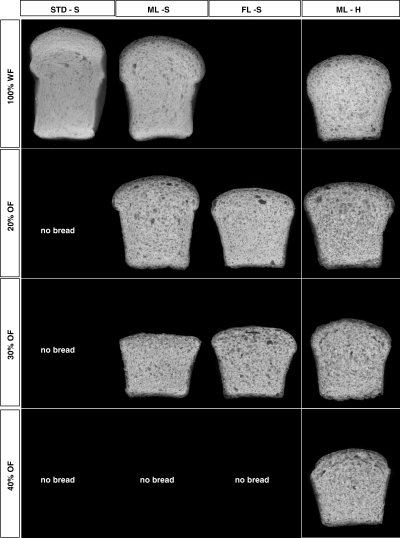 Effect of the different bread-making procedures on bread development. WF, wheat flour; OF, oat flour; STD, AACC10-10B method; ML - S, medium length process - Swanson mixer; FL - S, fast length process - Swanson mixer; ML - H, medium length process - Hobart mixer.