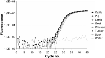 Fluorescence curves for samples of cattle, pig, lamb, goat, chicken, turkey and duck using the MYw primer-probe system. CTs are listed in Table 5.