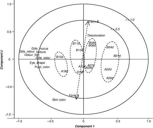 Quality Index Method (QIM) descriptors (X) vs. storage time and farms (Y). Correlation loadings plot from a partial least squares regression (PLSR)-model with full cross validation and weighted (1/SD) data. The first component (horizontal) explains 56% of X and 6% of Y, while the second component (vertical) explains 9% of X and 7% of Y. The dotted lines and circles are drawn tentatively to illustrate changes between farms and during storage period.