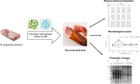 Graphical Abstract