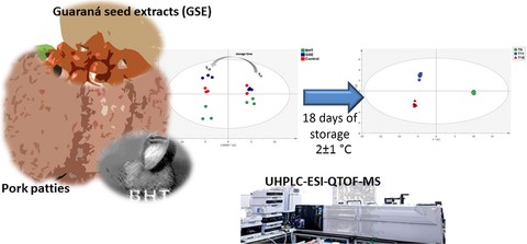 Graphical Abstract