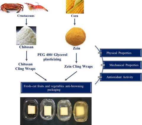 Graphical Abstract