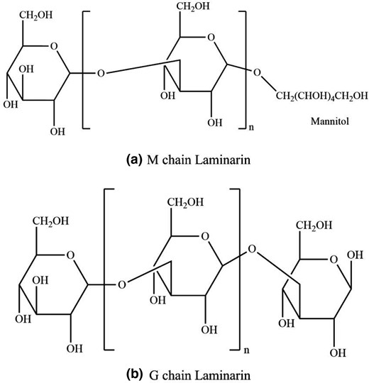 The two kinds of basic structures of laminarin (M and G chain).