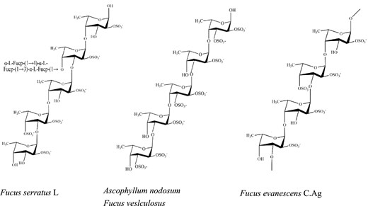 Classical structures of fucoidan showing differences in the position of sulfate group.
