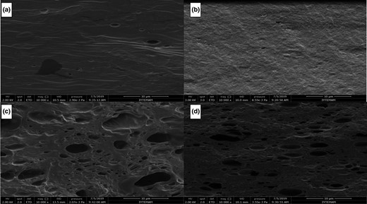 Effect of EUG on the cross-sectional morphology of pectin films: (a) FPEC; (b) CPEC; (c) FPEC-EUG (2%); and (d) CPEC-EUG (2%) (Magnification: 10 000×).