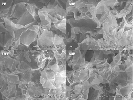 Scanning electron microscopy of tea seed fibre. PF, purified fibre; UTF, ultrasonic treated fibre; EHF, enzymatic hydrolysis fibre; EUF, enzymatic-ultrasonic fibre.