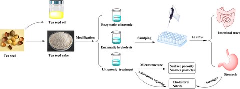 Graphical Abstract