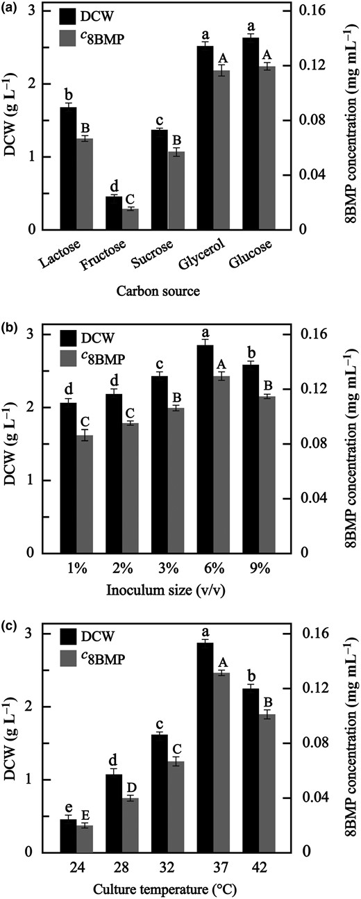 Comparison of cell growth and 8BMP expression in different culture conditions: (a) carbon source, (b) inoculum size and (c) culture temperature. c8BMP represents the concentration of 8BMP. Different letters indicate significant difference (P < 0.05). The letters among DCW were marked with lowercase letters, and those among the 8BMP concentration were marked with uppercase letters.