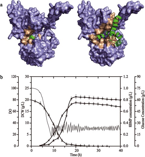 Graphical Abstract