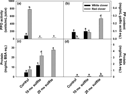 (a) Polyphenol oxidases (PPO) activity with L-DOPA as substrate, (b) polyphenol (PP) content using Folin Ciocalteu’s assay, (c) soluble protein content measured with Bradford, and (d) soluble protein content in supernatant after acid precipitation in samples treated with deionised water (control), 10 mM sodium sulphite (red and white clover) and 25 mM sodium sulphite (red clover). Notations on bars indicate significance of difference between treatments and among plant type, mixed model ANOVA, P < 0.05.