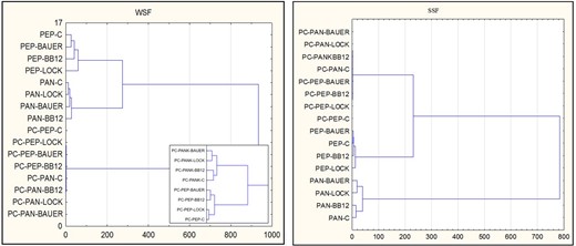 Dendrogram showing the relationship between the stage of in vitro gastric-pancreatic digestion and the content of peptide and their overall antioxidant activity obtained after hydrolysis of water soluble proteins fraction (WSF) and salt soluble protein fraction (SSF) from dry-cured pork loin after 12 months. PC – peptides content, PEP – samples after pepsin hydrolysis, PAN – samples after pancreatin hydrolysis, C – sample without starter culture; LOCK – sample with probiotic strain Lactobacillus rhamnosus LOCK900; BAUER – sample with potentially probiotic strain Lactobacillus acidophilus Bauer Ł0938; BB12 – sample with probiotic strain Bifidobacterium animals ssp. lactis BB-12.