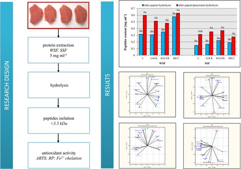 Graphical Abstract