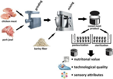 Graphical Abstract