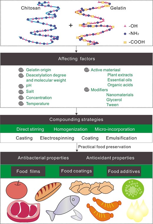 Affecting factors and food preservation application of gelatine-chitosan complex.