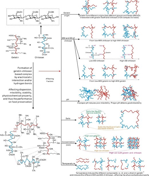Factors (gelatine origin, MW, DD, pH, salts and concentration) influencing the gelatine-chitosan complex formation process.