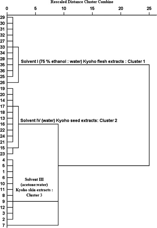 Dendrogram of hierarchical cluster analysis of Kyoho skin, seed and flesh extracts as affected by solvent extraction. Note: 1–12: Solvent III (acetone:water) Kyoho skin extracts; 13–24: Solvent IV (water) Kyoho seed extracts, and 25–36: Solvent (75% ethanol:water) Kyoho flesh extracts.