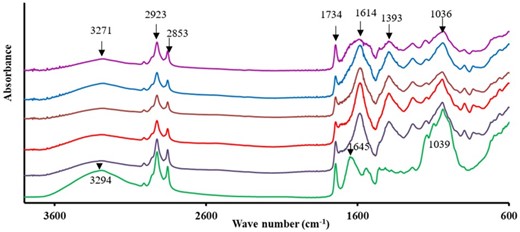 FTIR spectra of the GCRF samples (untreated; HP300; HP600; E2H; E5H and E5-HP600).