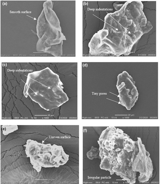 SEM of the GCRF samples (a) untreated, (b) HP300, (c) HP600, (d) E2H, (e) E5H and (f) E5-HP600.
