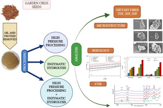 Graphical Abstract