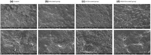 Scanning electron microscopy (SEM) micrographs of (a) control, (b) oil-coated, (c) β-CD-coated and (d) oil/β-CD-coated group eggshell surfaces at day 0. 500× (scale bars, 300 μm) and 2000× (scale bars, 50 μm). Control, the uncoated eggs; Oil-coated group, the eggs coated with rapeseed oil; β-CD-coated group, the eggs coated with 0.5% β-CD using a brush; Oil/β-CD-coated group, the eggs coated with rapeseed oil and 0.5% β-CD respectively using a brush.