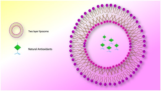 Graphical Abstract