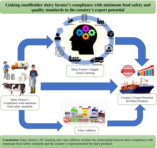 Graphical Abstract