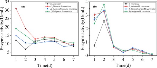 Activity of β-glucosidase during fermentation (a) Esterase activity during fermentation (b).