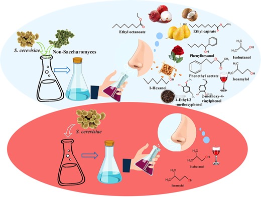 Graphical Abstract