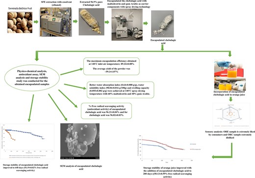Graphical Abstract