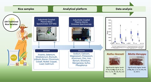 Graphical Abstract