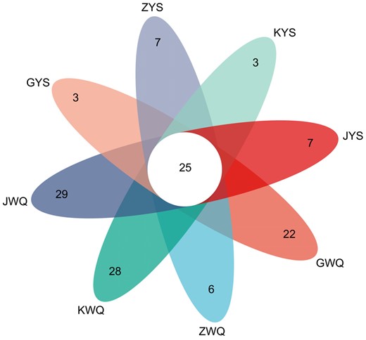 Venn diagrams of different traditional starter samples according to fungal communities, with the evaluation of the shared OTUs.