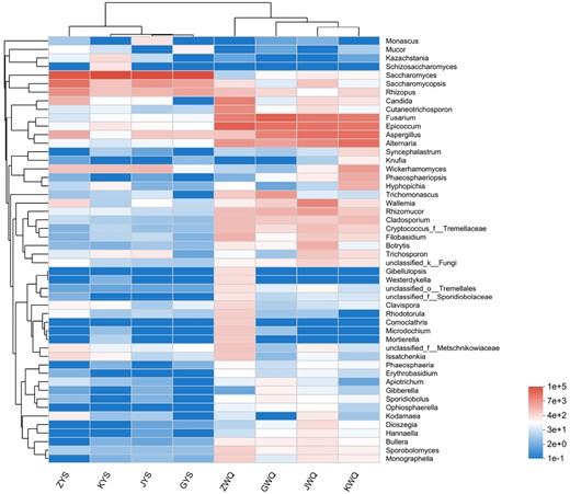 Heatmap comparison and hierarchical clustering dendrogram of the top 50 abundant fungal genera found within some traditional starters. Intensity of colour reflects the abundance of different fungus species.