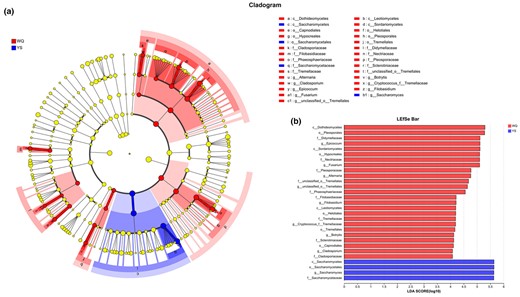 LEfSe taxonomic cladogram (a) and bar (b) of the fungal taxa of wheat Qus and Lin-fan yeast starters.