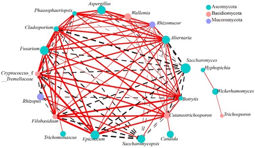 Correlation network analysis applied to the top 20 abundant fungal genera present in the traditional starters. The density of a certain genus determines the corresponding node's size. The phylum taxonomic categorisation is shown as the colour of the nodes. A solid red line indicates a positive association, whereas a dotted black line indicates a negative one. In addition, the edge thickness indicates the strength of the correlation.