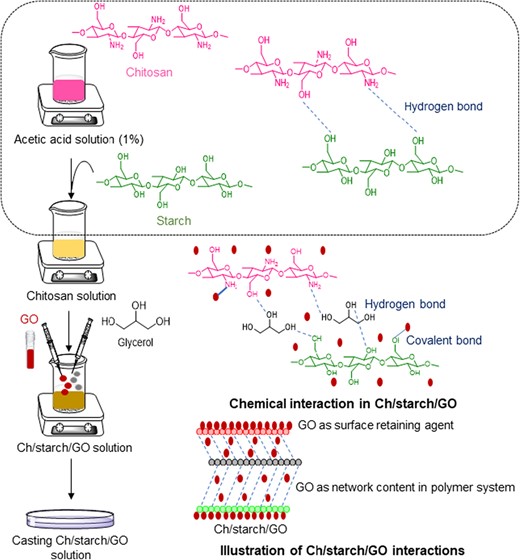 Preparation of Ch/starch/GO films.