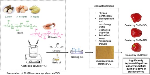 Graphical Abstract
