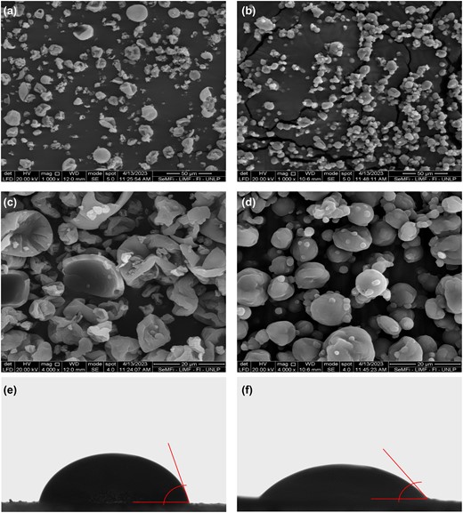 Micrographs of spray-dried aquafaba of lentils (a, c) and beans (b, d) at different magnifications and images for contact angle measurement of (e) aquafaba powder of lentils and (f) aquafaba powder of beans.