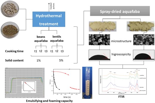 Graphical Abstract